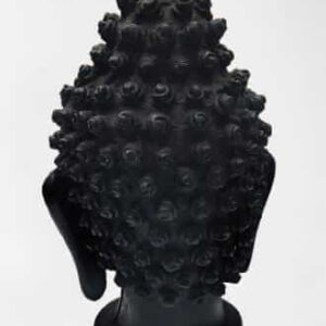 Lord Gautam Budha Statue